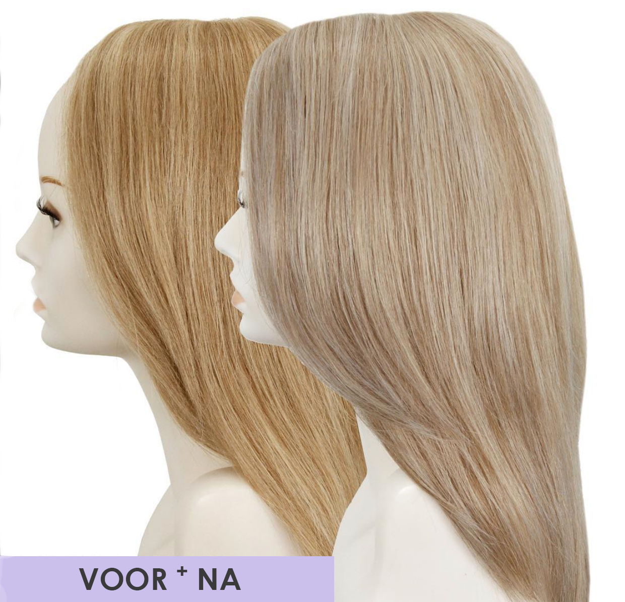 in tone shampoo